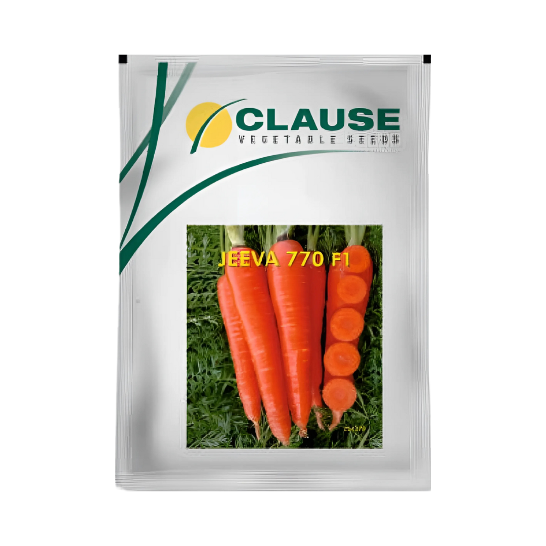 Jeeva 770 Carrot Seeds - HM Clause | F1 Hybrid | Buy Online Now