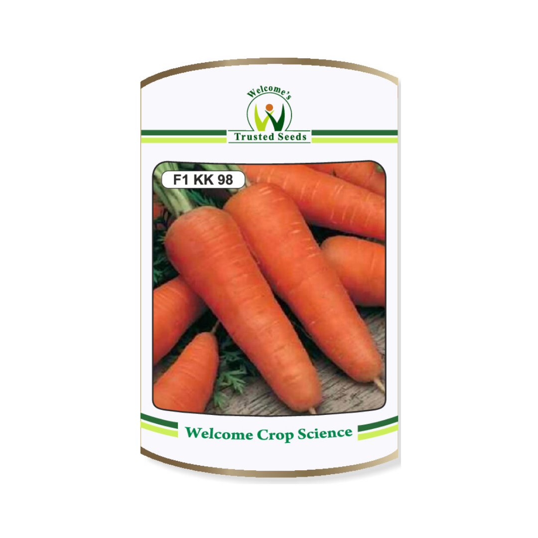 KK 98 Carrot Seeds - Nunhems | F1 Hybrid | Buy Online Now - DesiKheti