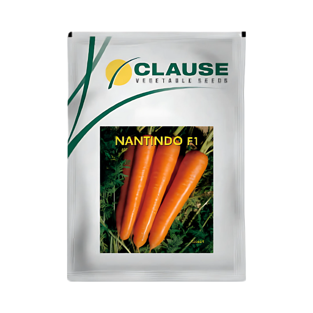 Nantindo Carrot Seeds - HM Clause | F1 Hybrid | Buy Online Now