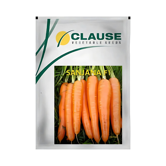 Sanjana Carrot Seeds - HM Clause | F1 Hybrid | Buy Online Now