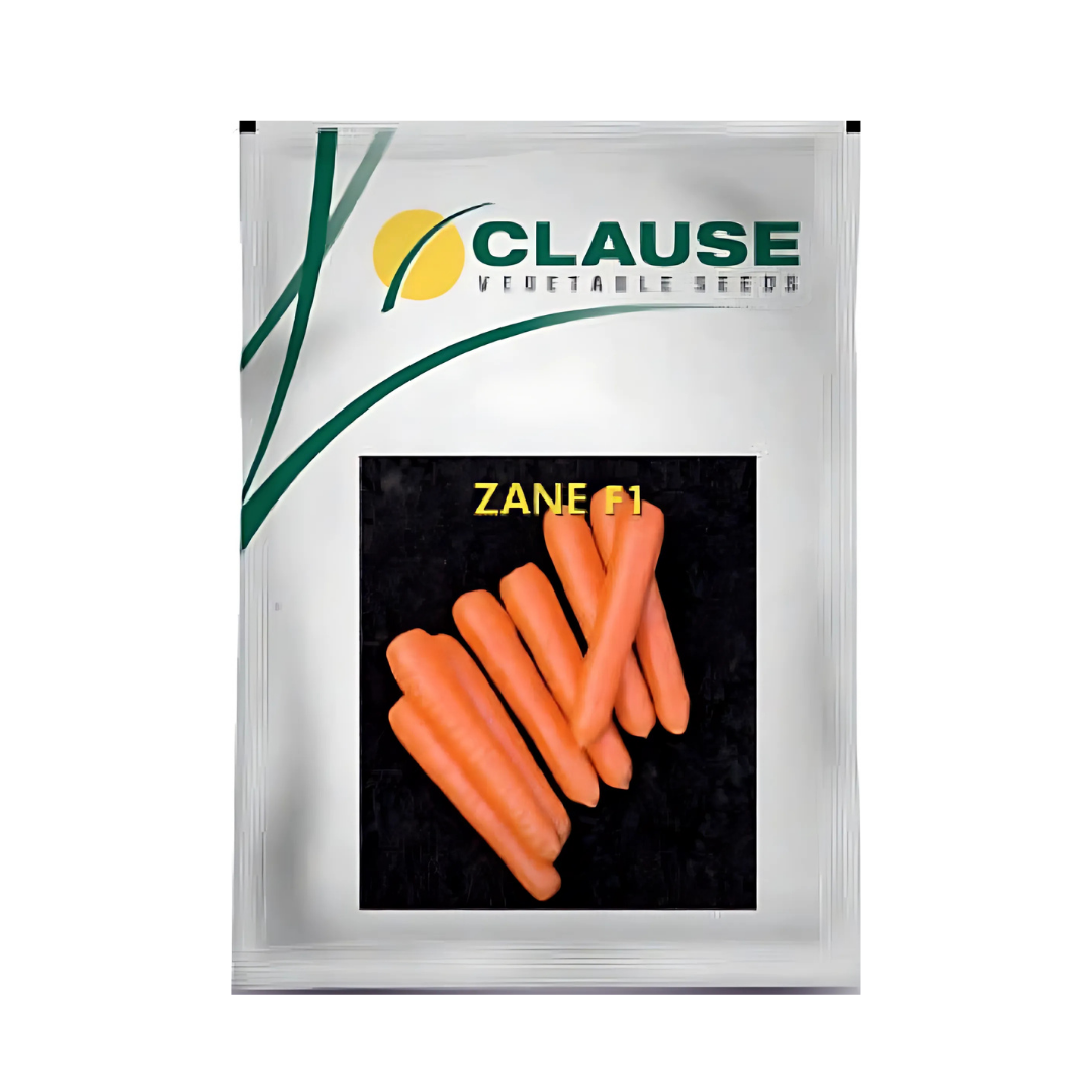 Zane Carrot Seeds - HM Clause | F1 Hybrid | Buy Online Now