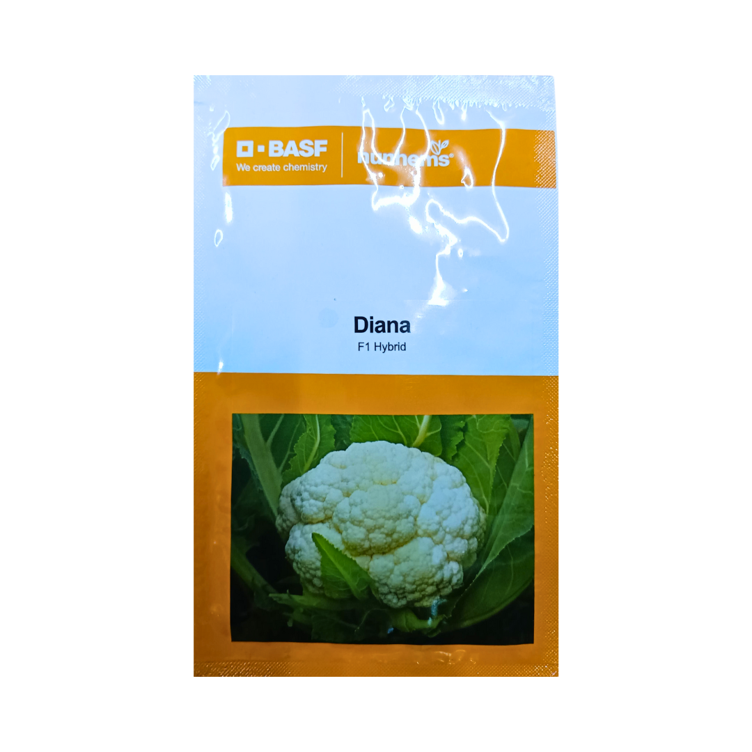 Diana Cauliflower seeds - Nunhems | F1 Hybrid | Buy Online - DesiKheti