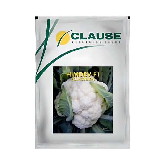 Himdev Cauliflower Seeds - HM Clause | F1 Hybrid | Buy Online Now