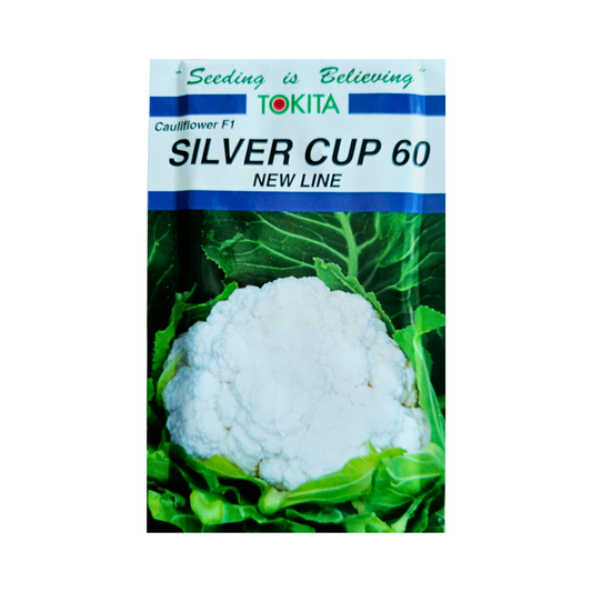 Silver Cup 60 Cauliflower Seeds - Tokita | F1 Hybrid | Buy Online Now