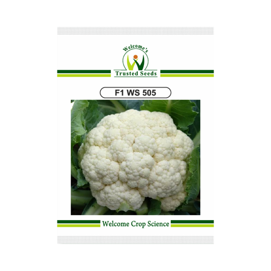 WS 505 Cauliflower Seeds - Welcome | Buy Online at Best Price