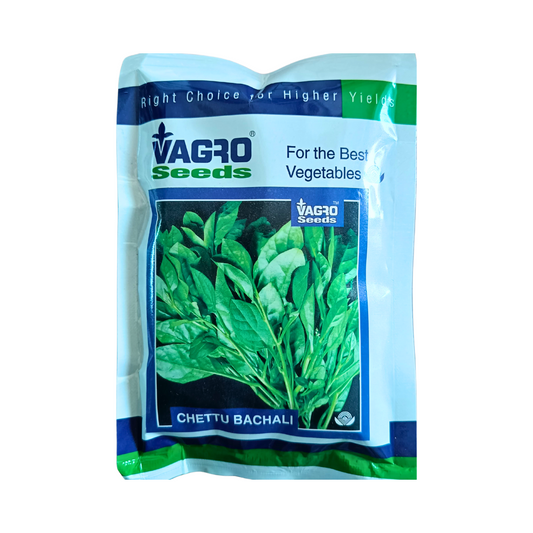 Chettu Bachali Seeds (Malabar Spinach) - Vagro seeds | Buy Online Now