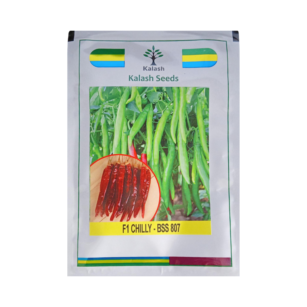 BSS 807 Chilli Seeds - Kalash | F1 Hybrid | Buy Online at Best Price