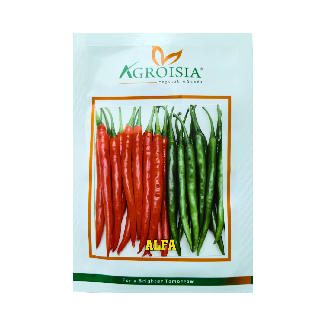 Alfa Chilli Seeds - Agroisia | F1 Hybrid | Buy Online Now - DesiKheti