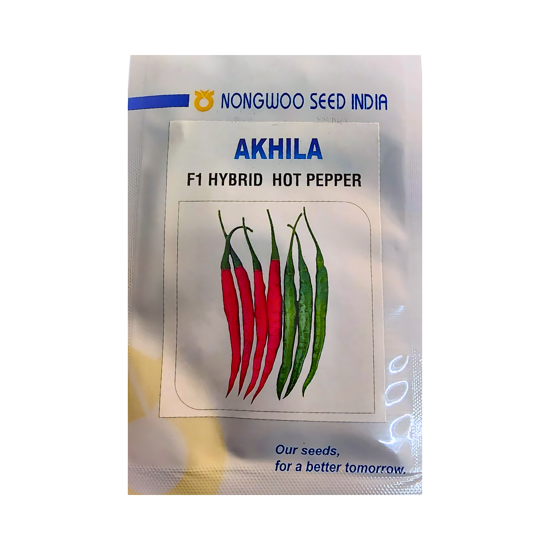 Akhila Chilli Seeds - Nongwoo | F1 Hybrid | Buy Online at Best Price