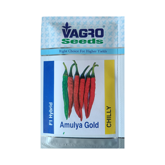 Amulya Gold Chilli Seeds