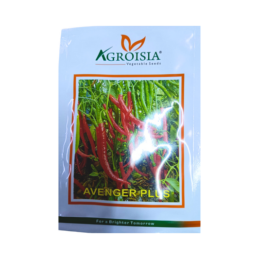 Avenger plus Chilli Seeds - Agroisia | F1 Hybrid | Buy Online Now 