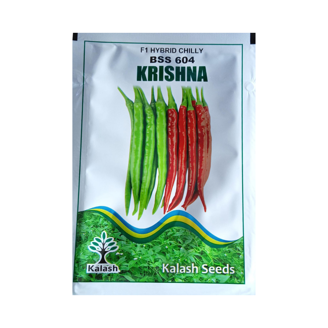 BSS 604 (Krishna) Chilli Seeds - Kalash | F1 Hybrid | Buy Online Now