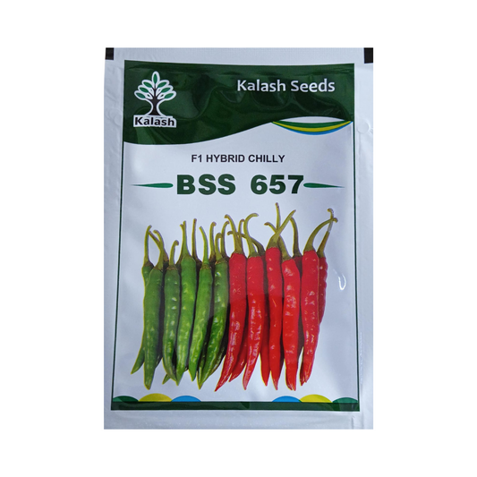 KSP - 1640 Saffron Chilli Seeds - Kalash | F1 Hybrid | Buy Online Now