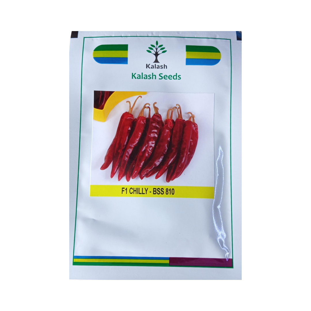 BSS 810 Chilli Seeds - Kalash | F1 Hybrid | Buy Online Now - DesiKheti