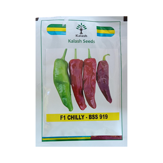 BSS 919 Chilli Seeds - Kalash | F1 Hybrid | Buy Online at Best Price