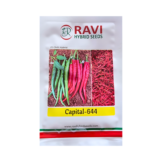 Capital-644 Chilli Seeds - Ravi Hybrid Seeds | F1 Hybrid | Buy Online