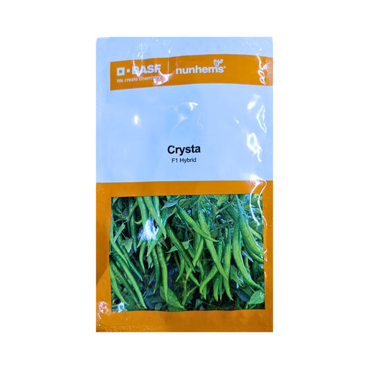 Crysta Chilli Seeds - Nunhems | F1 Hybrid | Buy Online at Best Price