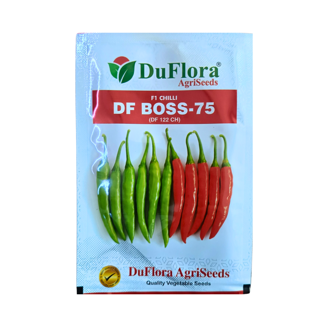 DF Boss-75 Chilli Seeds