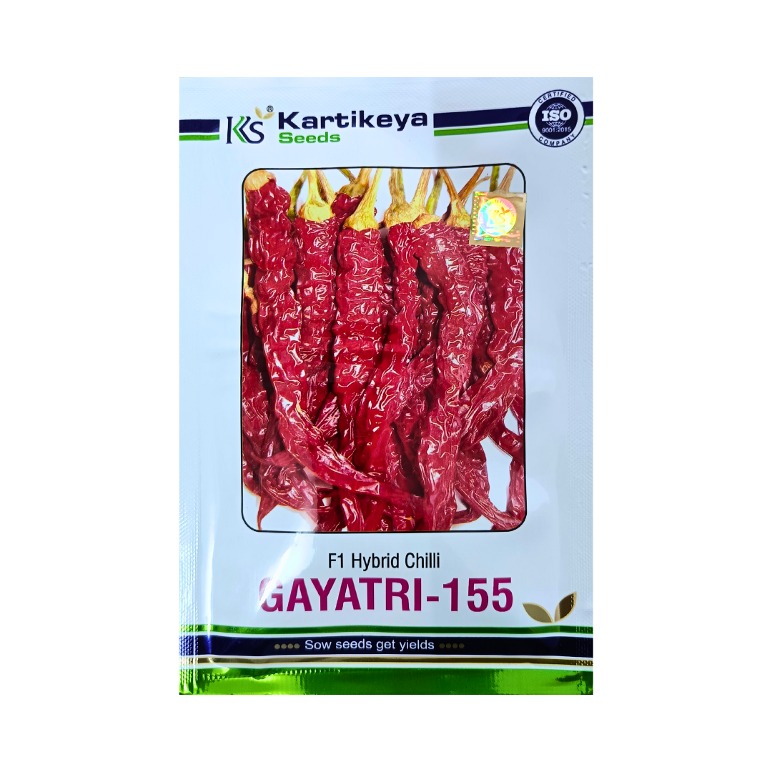 Gayatri-155 Chilli Seeds - Karthikeya | F1 Hybrid | Buy Online Now