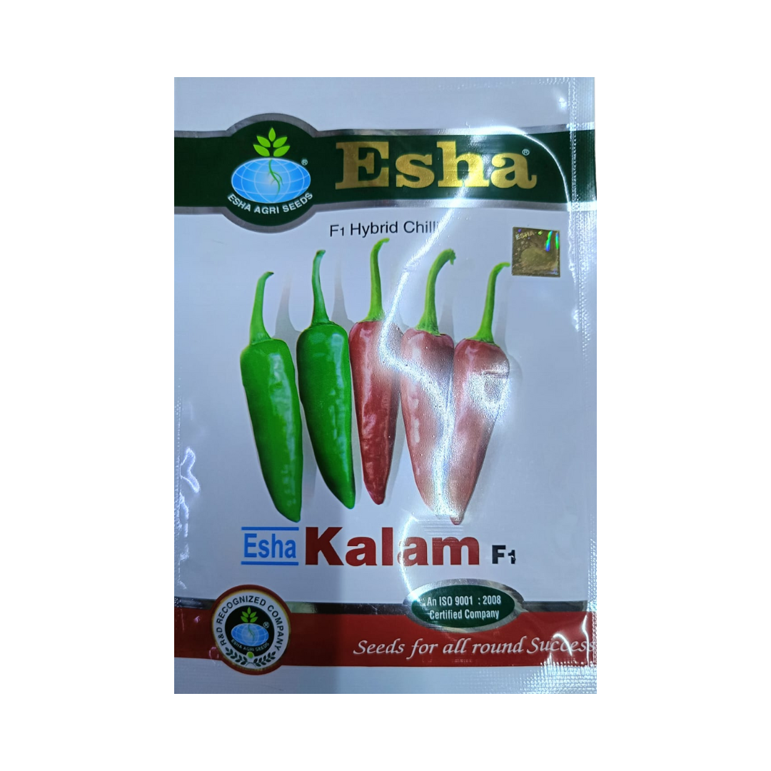 Esha Kalam Chilli Seeds | F1 Hybrid Mirchi | Buy Online at Best Price