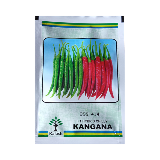 BSS 414(Kangana) Chilli Seeds - Kalash | F1 Hybrid | Buy Online Now