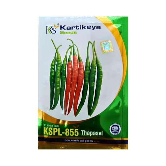 KSPL-855 Thapasvi Chilli Seeds - Karthikeya | F1 Hybrid | Buy Online