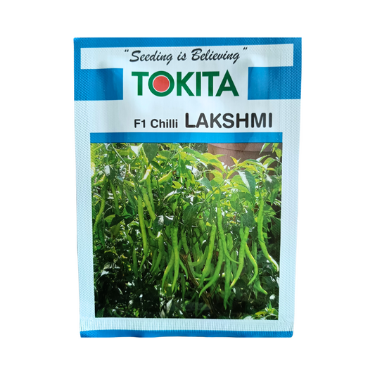 Lakshmi Chilli Seeds - Tokita | F1 Hybrid | Buy Online at Best Price