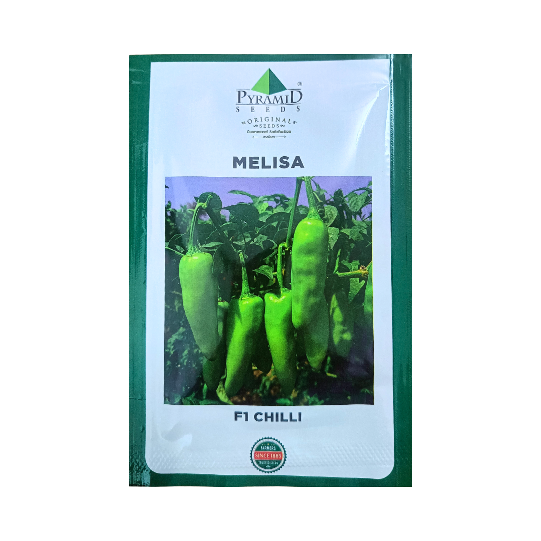 Melisa Chilli Seeds - Pyramid | F1 Hybrid | Buy Online Now - DesiKheti