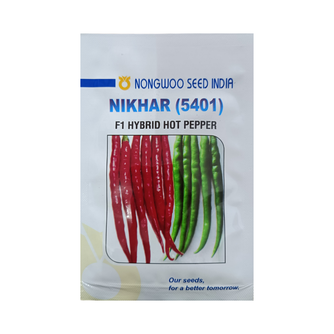 Nikhar (5401) Chilli Seeds