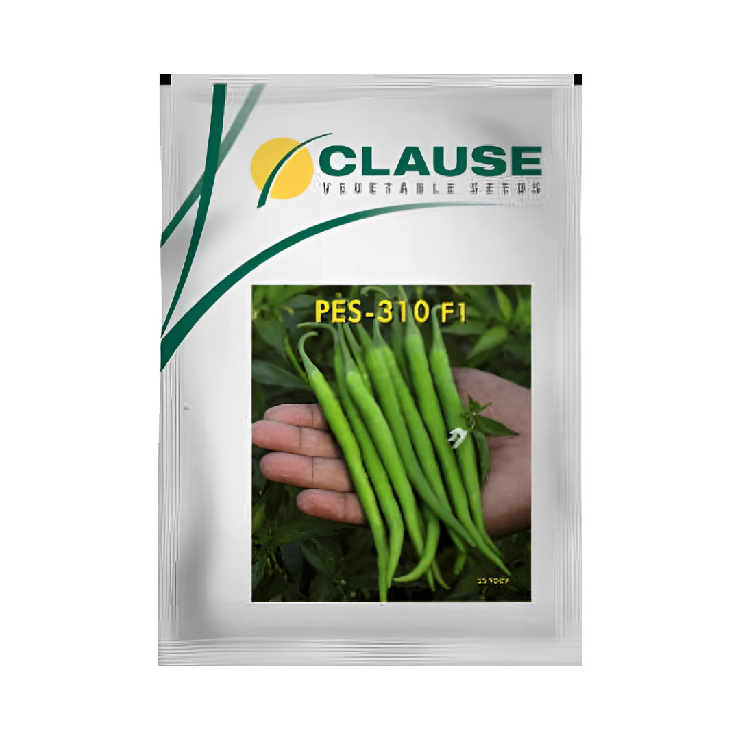 PES-310 Chilli Seeds - HM Clause | F1 Hybrid | Buy Online - DesiKheti