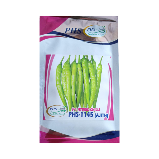 PHS-1145 Chilli Seeds - PHS | F1 Hybrid | Buy Online Now - DesiKheti