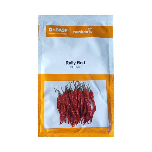 Rally Red Chilli Seeds - Nunhems | F1 Hybrid | Buy Online Now