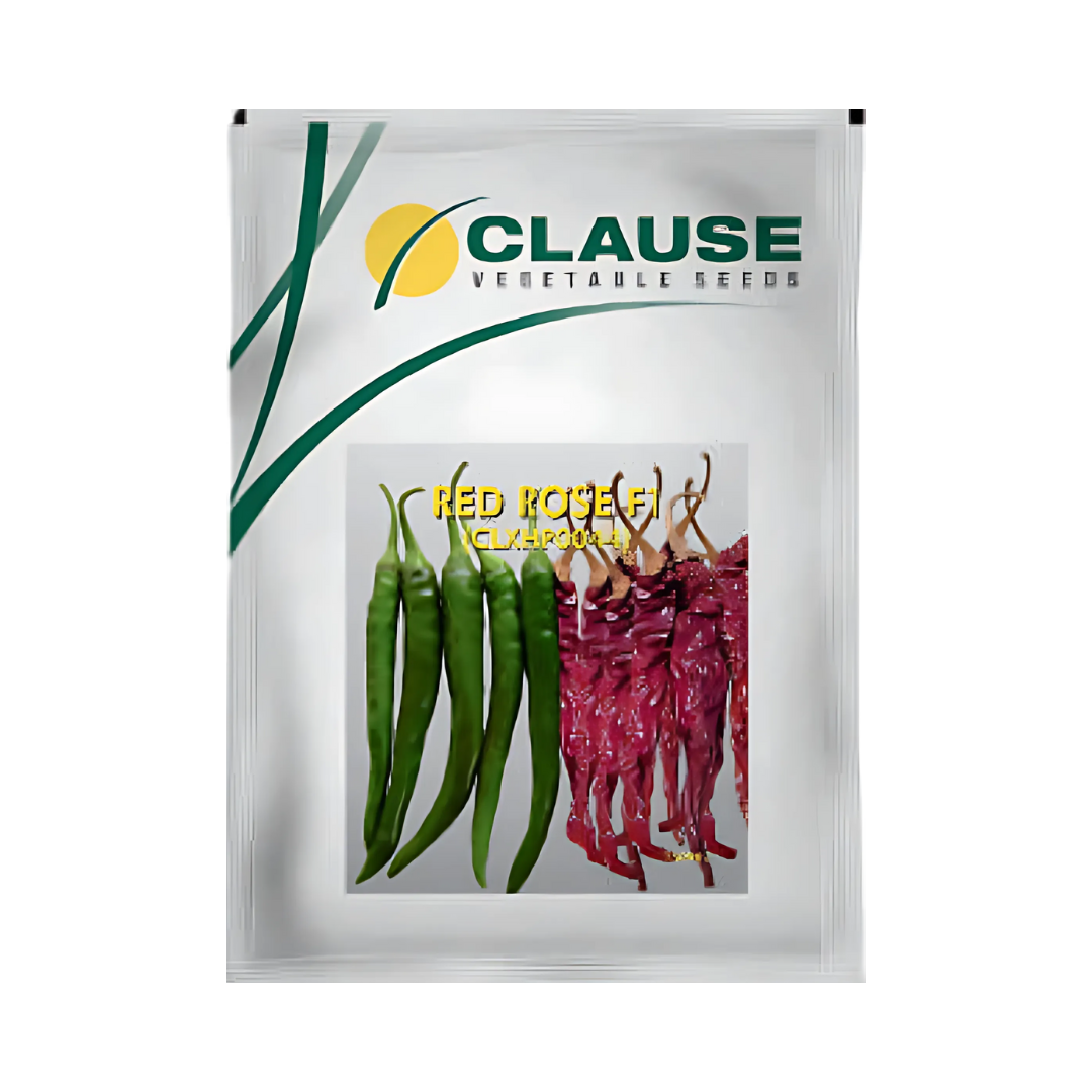 Red Rose Chilli Seeds - HM Clause | F1 Hybrid | Buy Online - DesiKheti