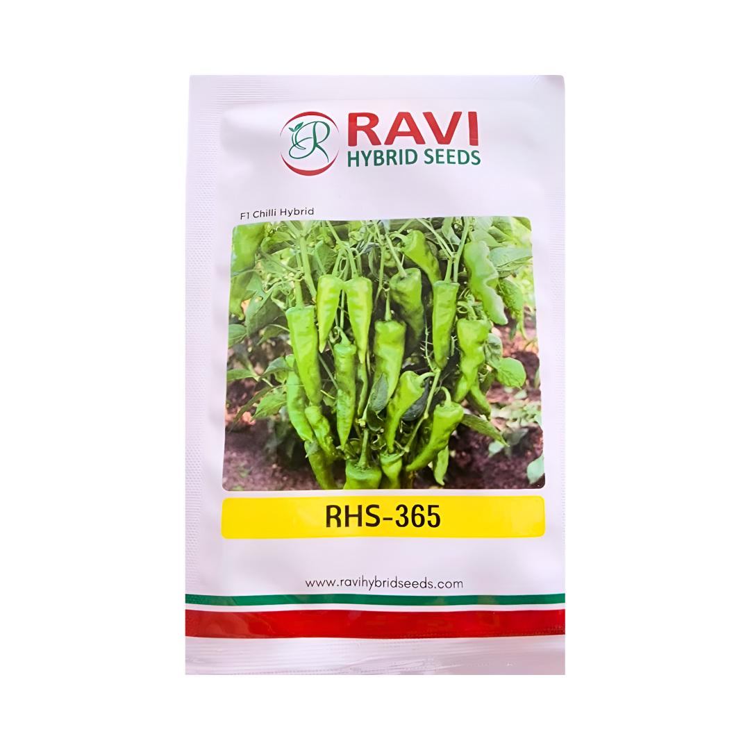 RHS - 365 Chilli Seeds - Ravi Hybrid Seeds | F1 Hybrid | Buy Online