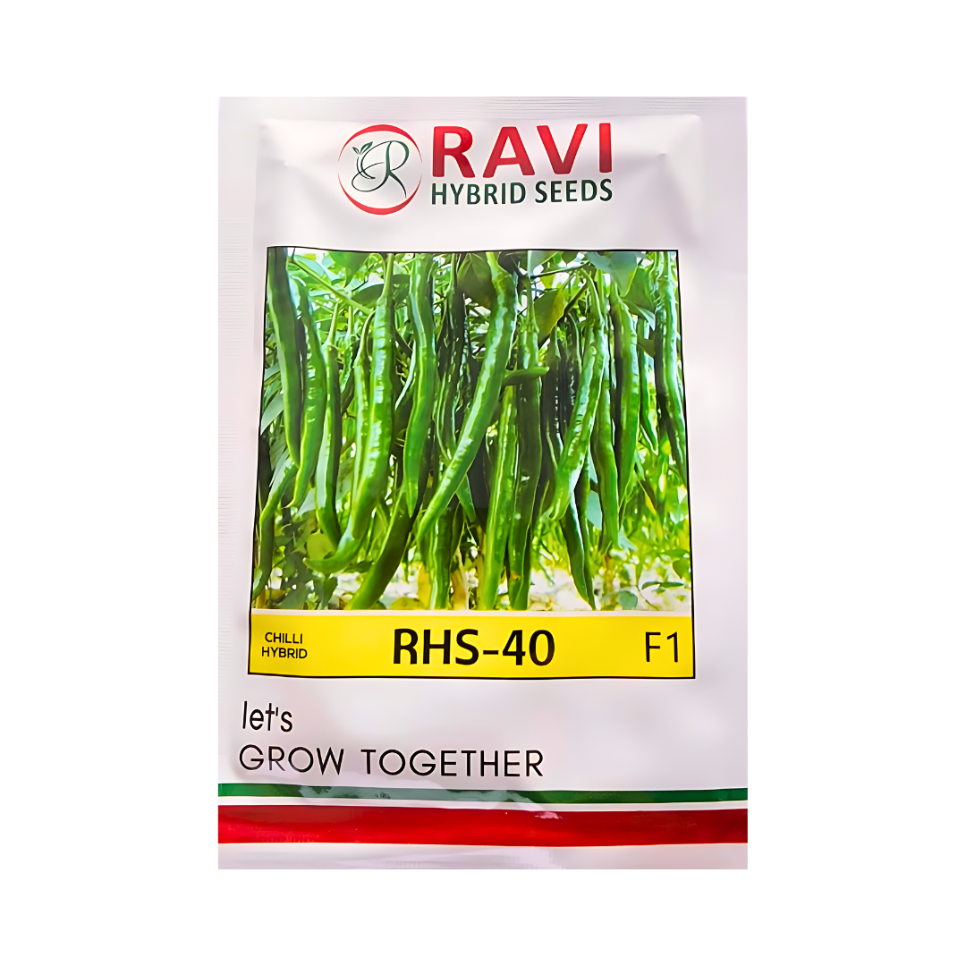 RHS - 40 Chilli Seeds - Ravi Hybrid Seeds | F1 Hybrid | Buy Online Now