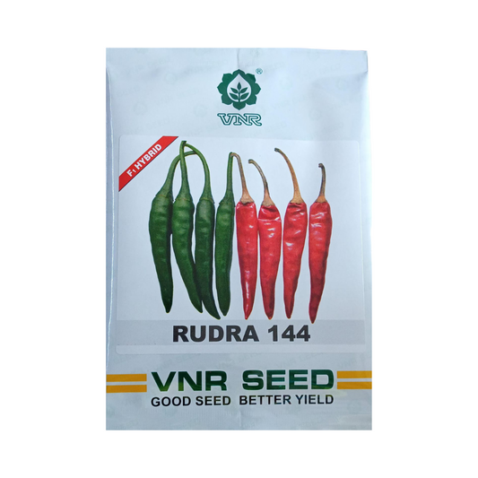 Rudra Chilli Seeds - Max | F1 Hybrid Mirchi | Buy Online Now