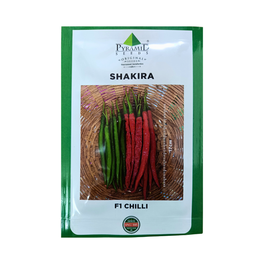 Shakira Chilli Seeds