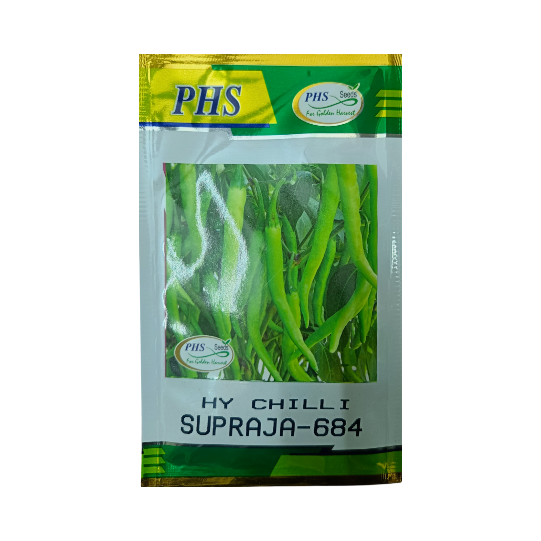 Supraja-684 Chilli Seeds - PHS | F1 Hybrid | Buy Online - DesiKheti