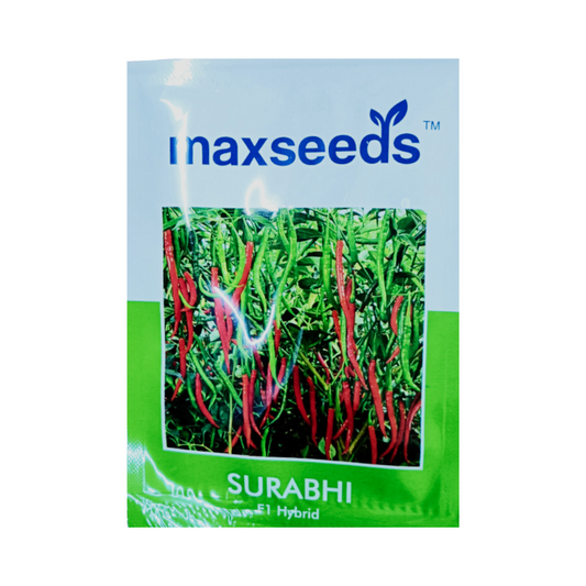 Surabhi Chilli Seeds - Max | F1 Hybrid Mirchi | Buy Online - DesiKheti