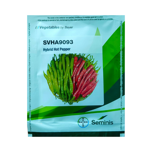 SVHA 9093 Chilli Seeds - Seminis | F1 Hybrid | Buy Online - DesiKheti