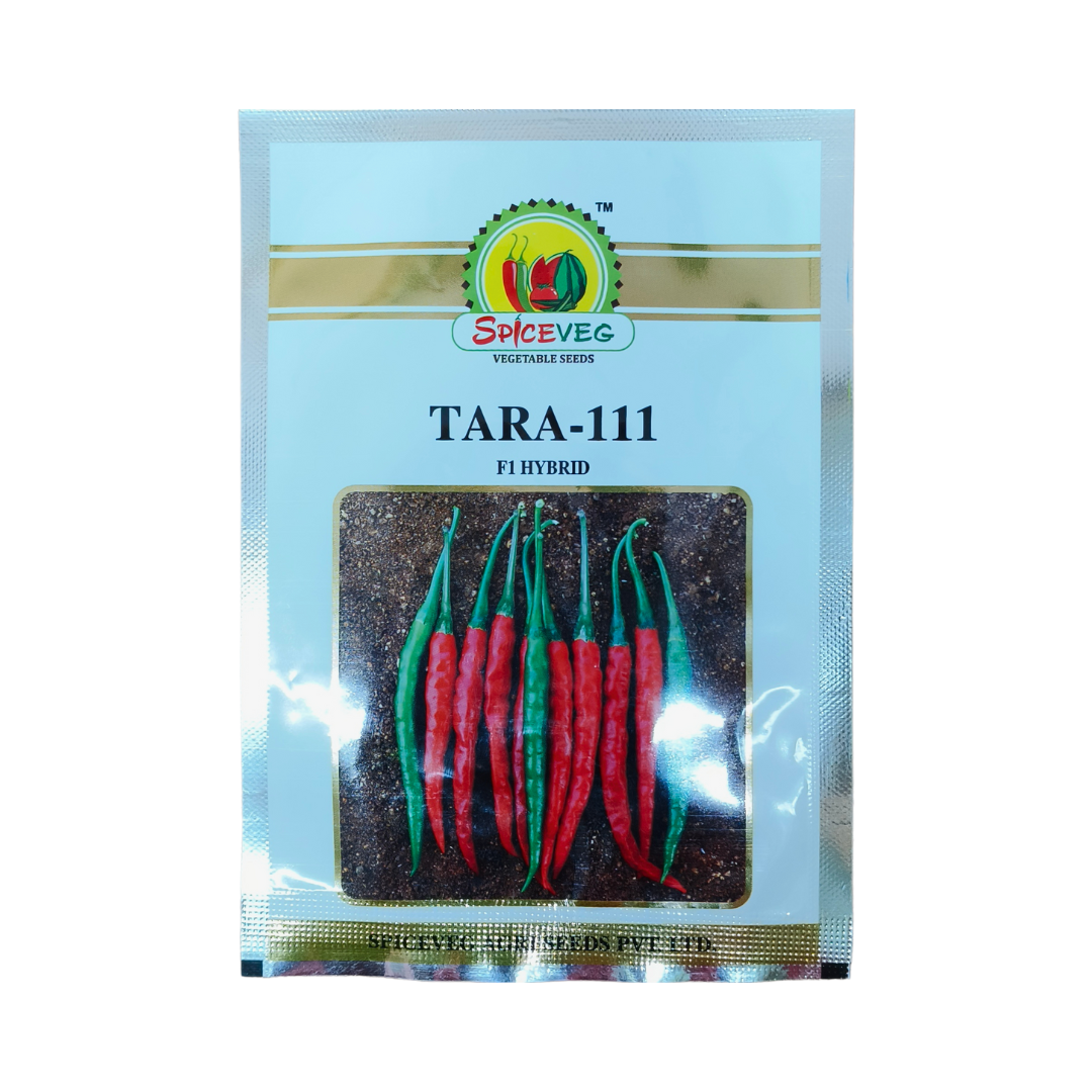 Tara-111 Chilli Seeds - Spiceveg | F1 Hybrid | Buy Online at Best Price