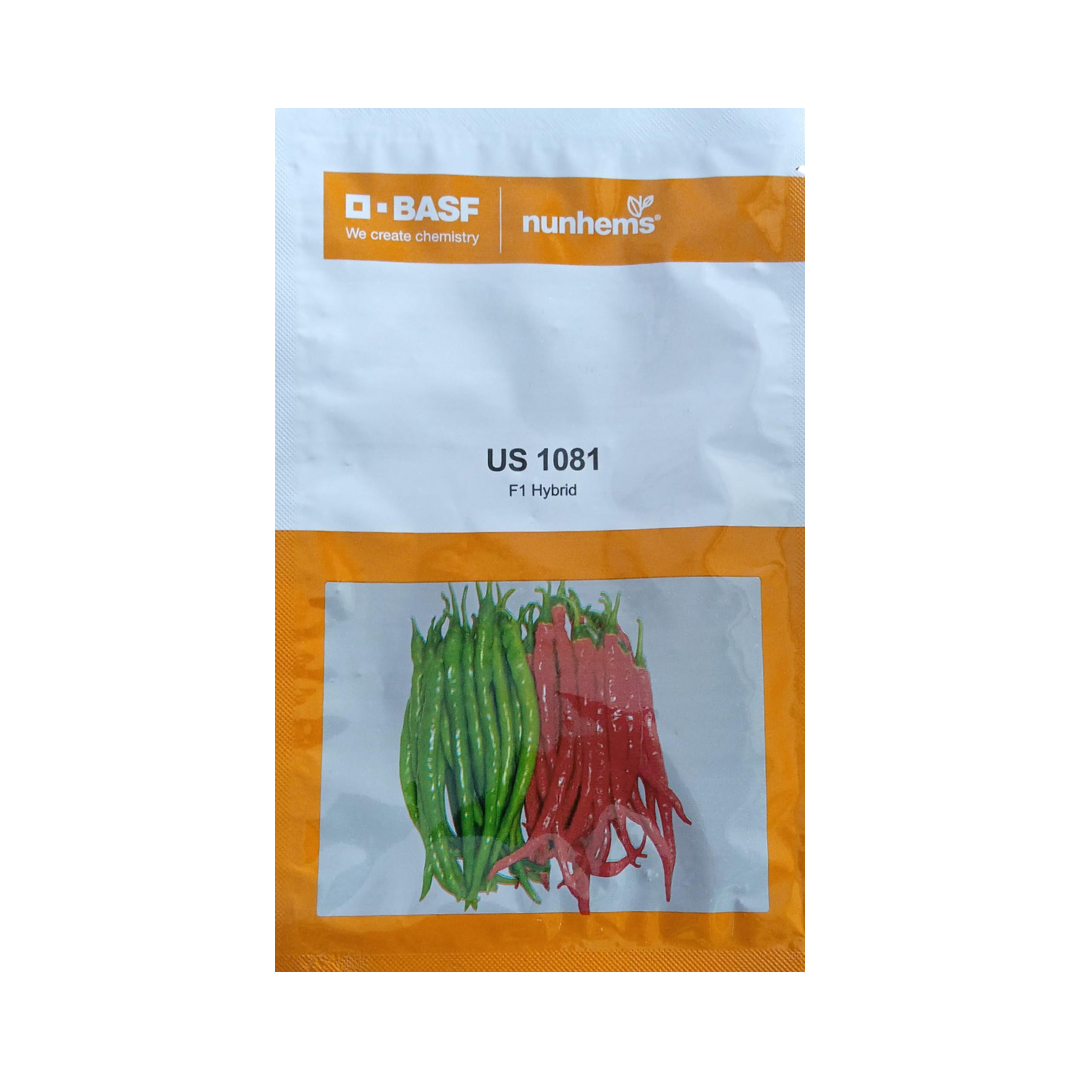 US 1081 Chilli Seeds - Nunhems | F1 Hybrid | Buy Online at Best Price