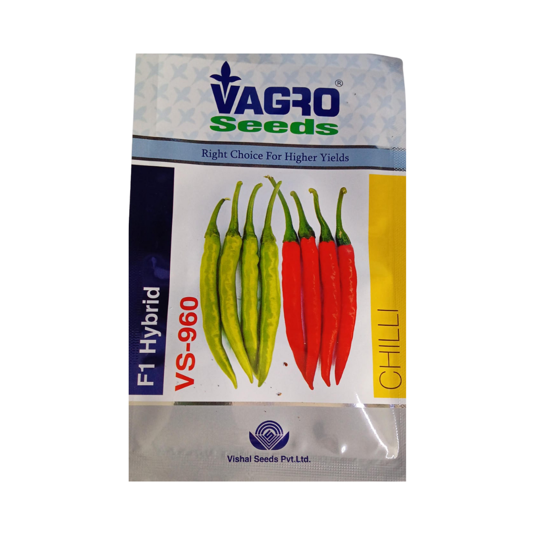 VS-960 Chilli Seeds - Vagro | F1 Hybrid Mirchi | Buy Online Now