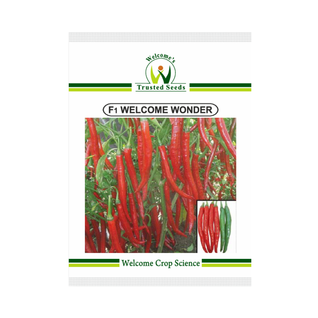 Welcome Wonder Chilli Seeds - Welcome | F1 Hybrid | Buy Online Now