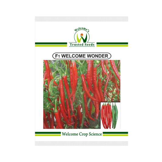 Welcome Wonder Chilli Seeds - Welcome | F1 Hybrid | Buy Online Now