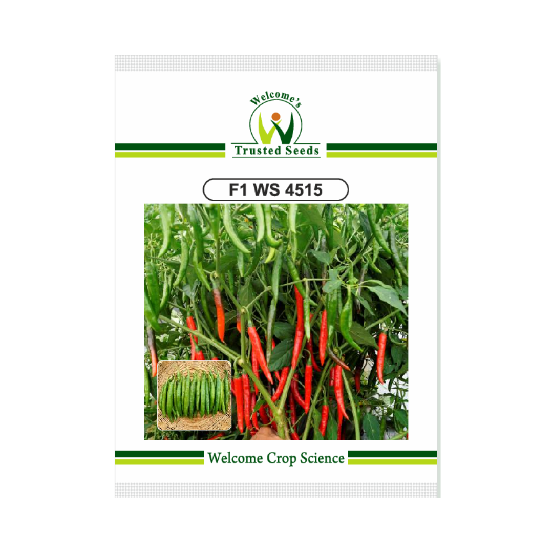 WS 4515 Chilli Seeds - Welcome | F1 Hybrid | Buy Online at Best Price