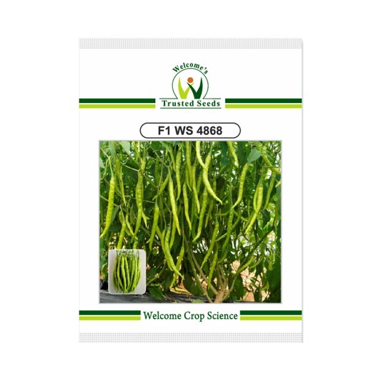 WS 4868 Chilli Seeds - Welcome | F1 Hybrid | Buy Online at Best Price