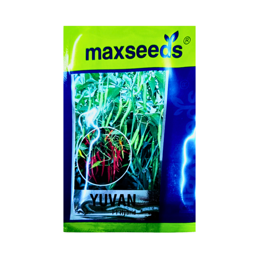 Yuvan Chilli Seeds - Max | F1 Hybrid Mirchi | Buy Online - DesiKheti