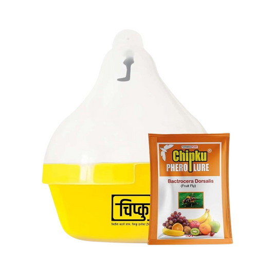 Chipku - Bactocera Dorsalis Fruit Fly Outdoor maxplus/Macphill Pheromone Trap with Lure