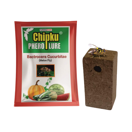 Chipku - Bactrocera Cucurbitae (Melon Fly) Lure | Buy Now - DesiKheti